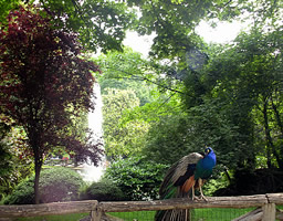 Parque San Francisco